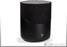 Bluesound Pulse M